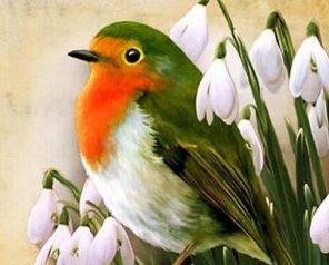 Robin Bird Paint By Numbers - Numeral Paint Kit