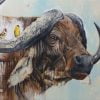 Buffalo And Birds Paint By Numbers