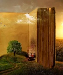 Book In Forest Paint By Numbers