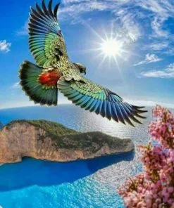 Flying Bird Paint By Numbers