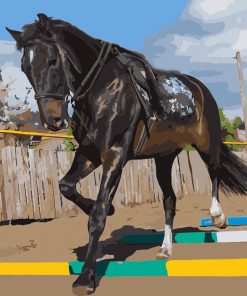 Black Stallion Paint By Numbers