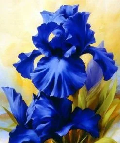 Blue Irises Paint By Numbers