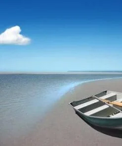 Boat On Seashore Paint By Numbers