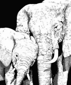 Monochrome Elephants Paint By Numbers