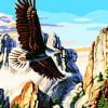 Flying Eagle Birds Paint By Numbers