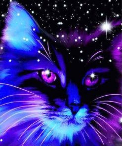 Galaxy Cat Paint By Numbers
