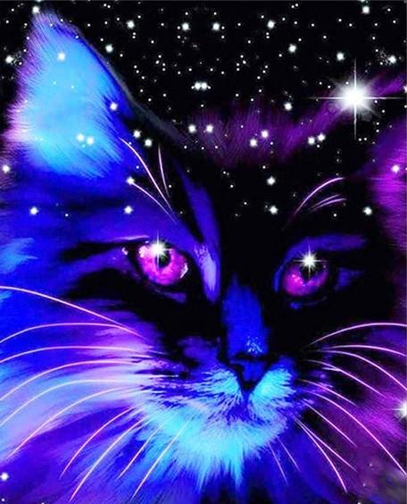 Galaxy Cat Paint By Numbers - Numeral Paint Kit