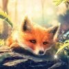 Lovely Woodland Fox Paint By Numbers