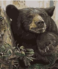 Black Bear In Forest Paint By Numbers