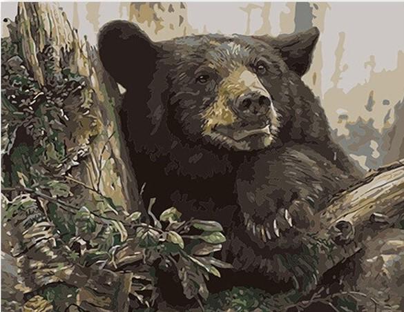 Black Bear Painting  Art Of Paint By Numbers