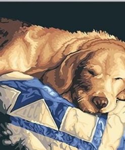 Sleepy Dog Paint By Numbers
