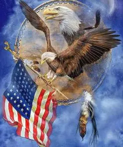 American Eagle Birds Paint By Numbers