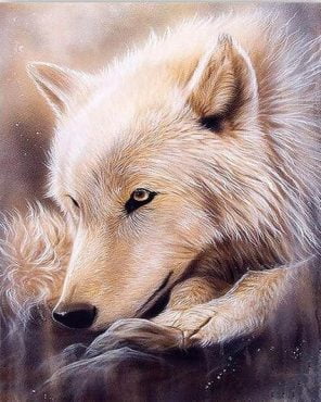 Alaskan White Wolf Paint By Numbers