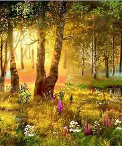 Sunlight Forest View Landscape Paint By Numbers