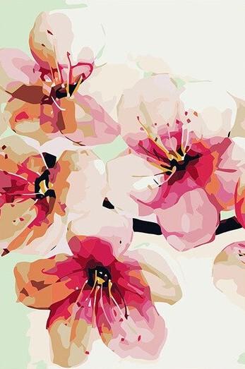 Peach Blossom paint by numbers