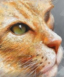 Cat Eye Paint By Numbers