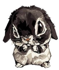 Cute Rabbit Paint By Numbers