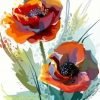 Red Anemones paint by numbers