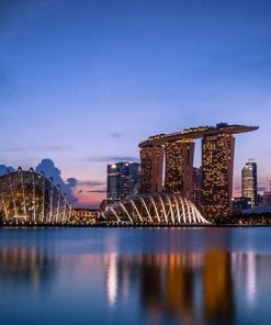 Singapore At Night Paint By Numbers