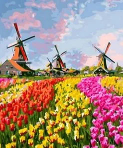 Tulips Field Paint By Numbers