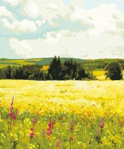 Field Scenery Paint By Numbers