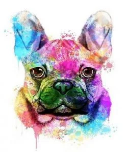 Splatter Colorful Bulldog Paint By Numbers