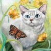 White Cat And Butterfly Paint By Numbers