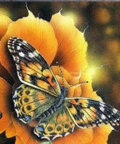 Butterfly On Flower paint by numbers