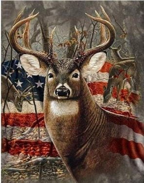 American Deer Paint By numbers