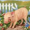 Pig In Garden Paint By Numbers