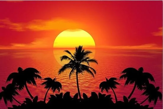 Tropical Sunset Palm Trees Purple And Orange