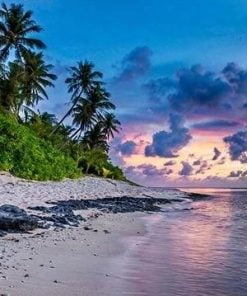 Tropical Beach Paint By Numbers