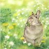 Rabbit In Green Grass Paint By Numbers
