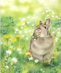 Rabbit In Green Grass Paint By Numbers