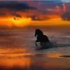 Horse Silhouette Paint By Numbers