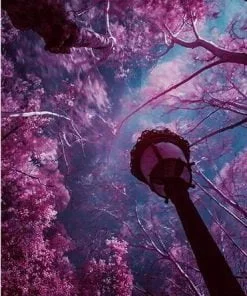 Purple Leafed Trees Under Sky Landscape Paint By Numbers
