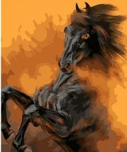 Black Horse in Deserts Animals Paint By Numbers