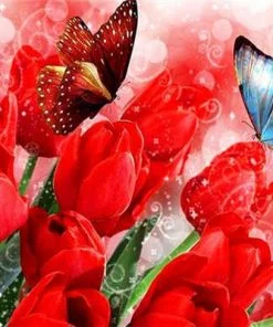 Butterfly And Red Tulips Paint By Numbers