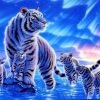 White Tigers Paint By Numbers