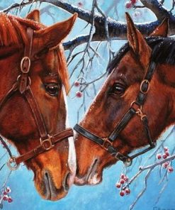 Horse Couple Paint By Numbers