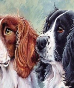 Springer Spaniel Twins Paint By Numbers