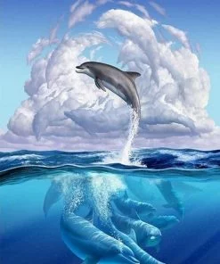 Dolphin Symphony Animals Paint By Numbers
