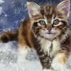 Cat In Snow Paint By Numbers