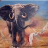 Bull Elephant And Birds Paint By Numbers