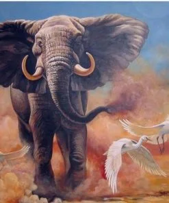 Bull Elephant And Birds Paint By Numbers