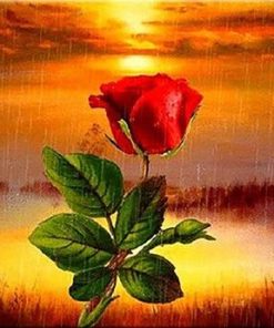 Rose Under Rain Paint By Numbers