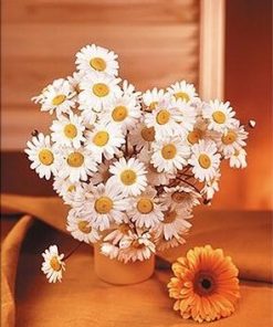 Daisy Flowers Paint By Numbers