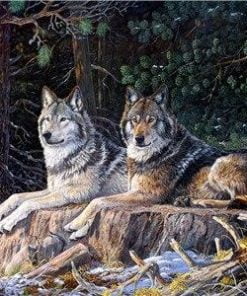 Wild Wolves In Snow Paint By Numbers