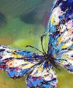 Colorful Butterfly Paint By Numbers
