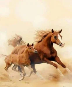 Horse And Foal Paint By Numbers